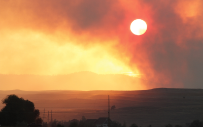 Protecting Workers from Wildfire Smoke: New Requirements in Washington State